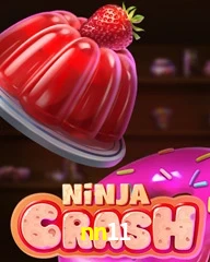 NN11.COM
